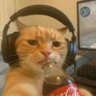 Odung's profile picture