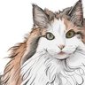 Profilbild von わたしはねこ