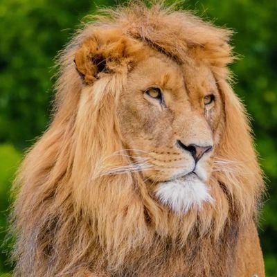 olgun aktif's profile picture