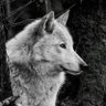 Profilbild von 碧