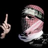 محمد محمد محمد's profile picture