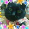 レオママ 的头像