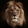 CMMNSLIVE's profile picture