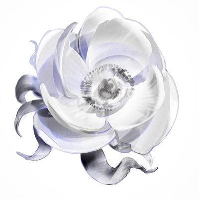 Rumoon_Vanilla's profile picture