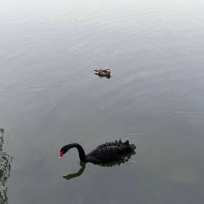 hahaha_ahhf's profile picture