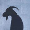 Profilbild von maleven