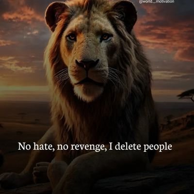 Adil___nazir's profile picture