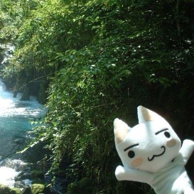 ミャミョ's profile picture