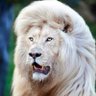 المعلمة هدى البوعينين's profile picture