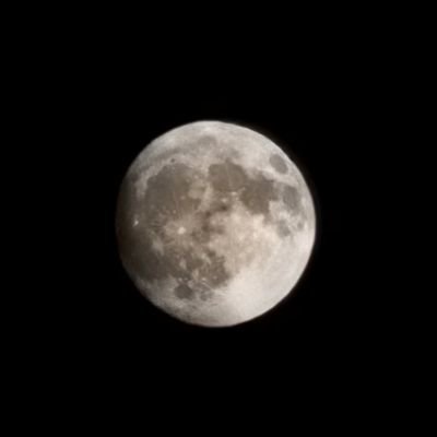 Gece🌙's profile picture