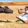 Amar's profile picture