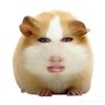 t yj's profile picture