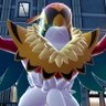 Profilbild von Chack