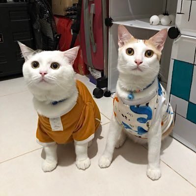 bondsibondd's profile picture