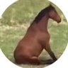 Country Guy 的头像