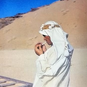 1899INE's profile picture