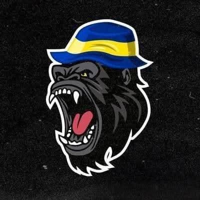 Somos Catarsis's profile picture