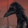 Caelid Bird profil fotoğrafı