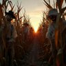 Фото профиля 🌽 Tales from the Cornfield 🌽🌈🇺🇦🌊 🇺🇸🚫👑🐸