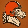 Brownie's profile picture