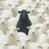 Фото профиля Lambman Trades