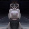 silvs's profile picture