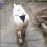 blank's profile picture