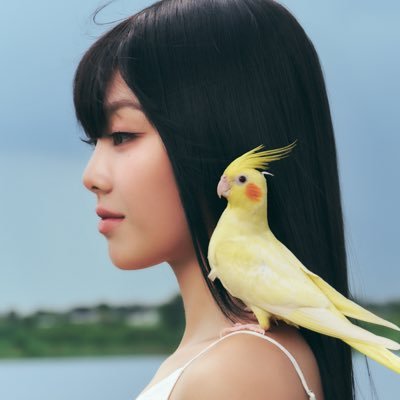 หมาฮ๋วง🎀's profile picture
