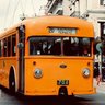 Profilbild von the Trolley 🚎