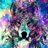 Profilbild von Felix M I