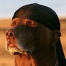 Extra Chromosome's profile picture