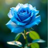 Фото профиля ♥️Martha_4611