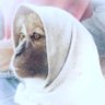 Sum's profile picture