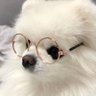 らら🐈⬛🎀🧡 profil fotoğrafı