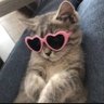 peri peri's profile picture
