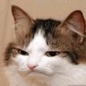 EF's profile picture