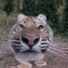 b profil fotoğrafı