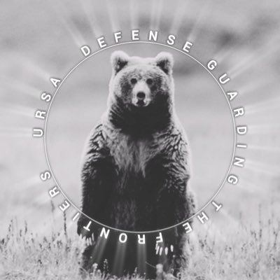 Ursa Defense's profile picture