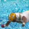 Noah Bennett's profile picture