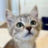 Bix's profile picture