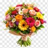 Mehar Khan's profile picture