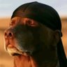 FAFOlogist's profile picture