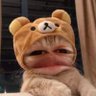 joao's profile picture