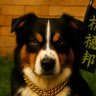 walao2100's profile picture