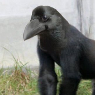 Testflight's profile picture