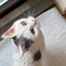 Фото профиля ながちゃん