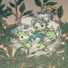 ぽん's profile picture