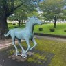 yona profil fotoğrafı