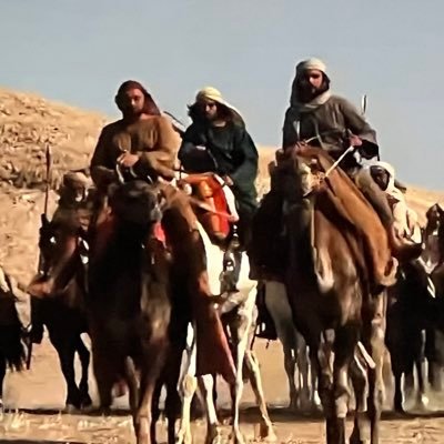Sea_of_Lavander's profile picture