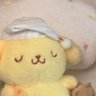 ash 🍯🌼's profile picture